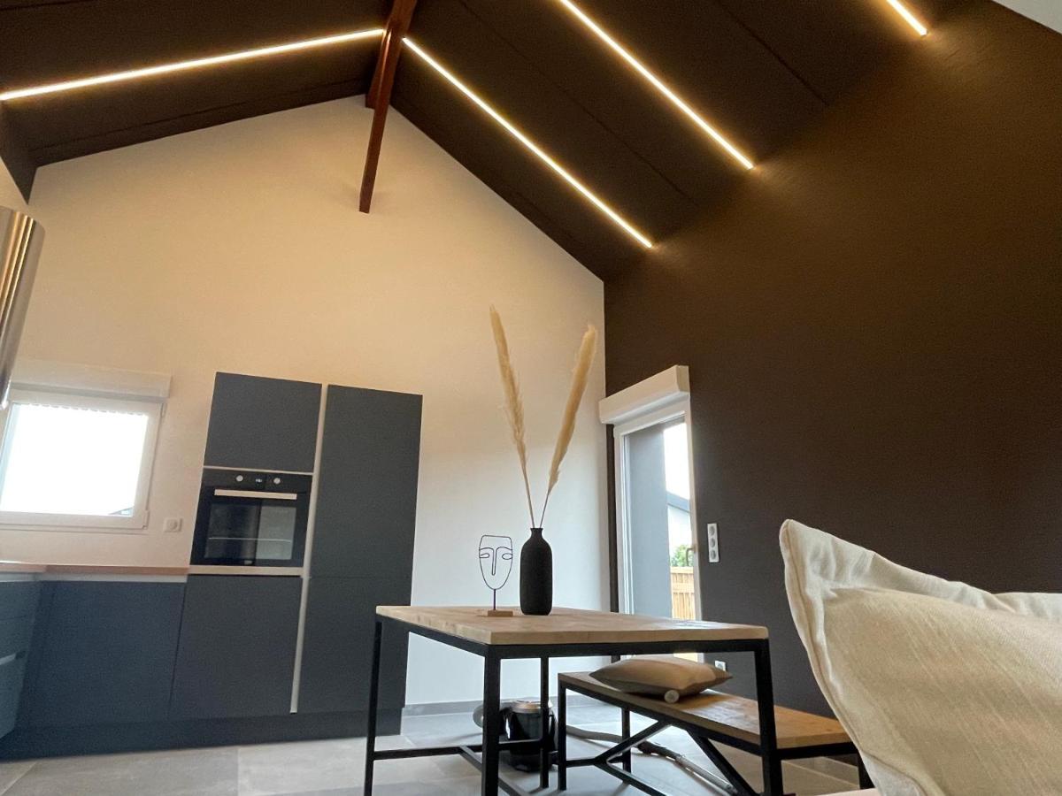 Gite Spa L'Atelier Emile - Spa Privatif - 5 Min Colmar Sainte-Croix-en-Plaine 外观 照片